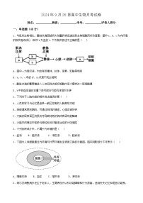 甘肃省兰州新区贺阳高级中学2024-2025学年高二上学期第一次月考生物试卷(无答案)