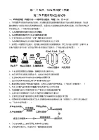 黑龙江省哈尔滨市第三中学校2023-2024学年高二下学期期末考试生物试题(无答案)