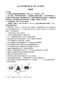 安徽省皖南八校2024-2025学年高三上学期10月第一次大联考生物试题（Word版附解析）