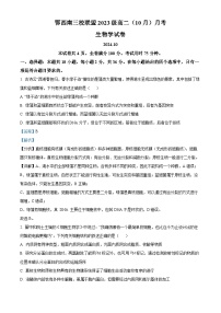 鄂西南三校2024-2025学年高二上学期10月联考生物试题（Word版附解析）