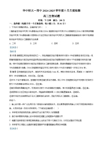 湖北省武汉市华中师范大学第一附属中学2024-2025学年高三上学期10月月考生物试题（Word版附解析）