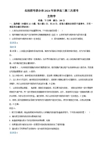 湖南省名校联考联合体2024-2025学年高二上学期第二次联考生物试题（Word版附解析）