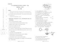 2024-2025河南青铜鸣高二上学期10月联考生物试卷及答案