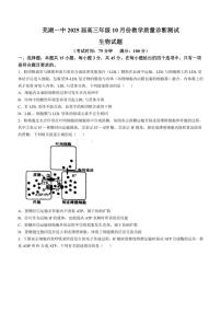 [生物]安徽省芜湖市第一中学2024～2025学年高三上学期10月教学质量诊断测试学试题(有答案)