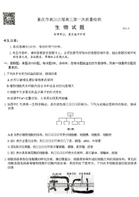 重庆市南开高2025届高三第一次质量检测试卷生物（含答案）