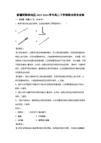 [生物][期末]新疆阿勒泰地区2023-2024学年高二下学期期末联考试卷(解析版)