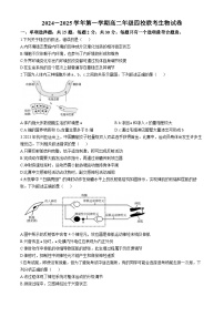 江苏省沭阳塘沟高级中学2024-2025学年高二上学期第二次月考生物试卷(无答案)