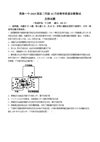 安徽省芜湖市第一中学2024-2025学年高三上学期10月教学质量诊断测试生物学试题（含答案）