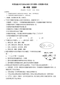 广东省江门市培英高级中学2024-2025学年高一上学期期中考试生物试题