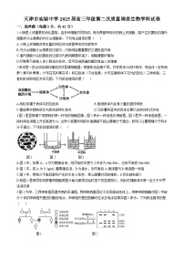 天津市实验中学2024-205学年高三上学期第二次月考生物试题Word版附答案