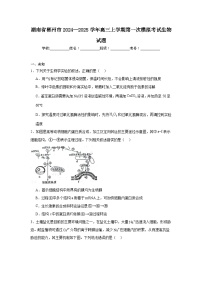 湖南省郴州市2024—2025学年高三上学期第一次模拟考试生物试题