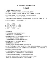 四川省自贡市第一中学校2024-2025学年高二上学期10月月考生物试题(无答案)