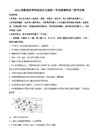 河南省青桐鸣大联考2024-2025学年高二上学期10月月考生物试卷（Word版附解析）