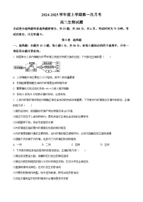 吉林省四平市第一高级中学、油田高级中学、抚松县一中2024-2025学年高二上学期10月月考生物试卷（Word版附答案）