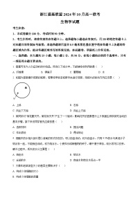 浙江省强基联盟2024-2025学年高一上学期10月联考生物试卷（Word版附答案）