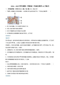 北京理工大学附属中学2024-2025学年高二上学期10月月考生物试卷（Word版附解析）