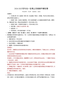 2024-2025学年高一上学期期中模拟考试生物（人教版2019，第1_4章）02试卷（Word版附解析）