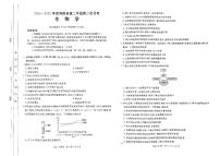 河南省许平汝名校2024-2025学年高二上学期10月期中生物试题