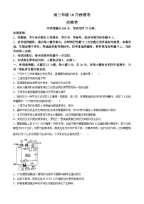 河北省邢台市邢襄联盟2024-2025学年高三上学期10月联考生物试题(无答案)