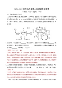 2024-2025学年高二上学期期中模拟考试生物（上海专用）试卷（Word版附解析）