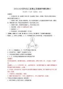 2024-2025学年高二上学期期中模拟考试生物（不定向版，人教版2019选必1全册）02试卷（Word版附解析）