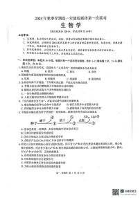 广西壮族自治区河池市十校2024-2025学年高一上学期10月第一次联考生物试题