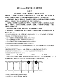 2025届广东省惠州市高考二模生物试题(无答案)