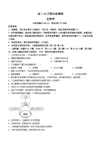 广西阳朔中学等校2024-2025学年高二上学期10月联合检测生物试题(无答案)