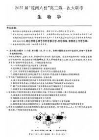 生物丨安徽省“皖南八校”2025届高三10月第一次大联考生物试卷及答案