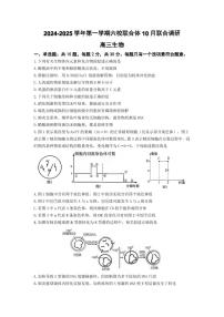 生物丨江苏省南京市六校联合体2025届高三10月联合调研生物试卷及答案