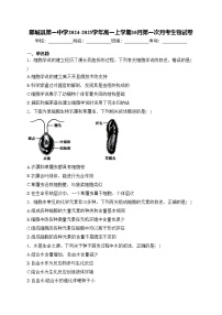 鄄城县第一中学2024-2025学年高一上学期10月第一次月考生物试卷(含答案)