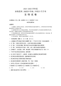 湖北省咸宁市崇阳县崇阳县第一中学2024-2025学年高二上学期10月月考生物试题