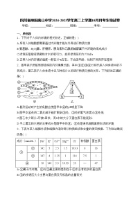 四川省绵阳南山中学2024-2025学年高二上学期10月月考生物试卷(含答案)