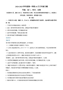 北京市第八中学京西校区2024-2025学年高二上学期10月月考生物练习题试卷（Word版附解析）