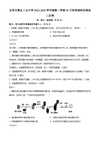 北京市第五十五中学2024-2025学年高三上学期10月考试生物试卷（Word版附解析）