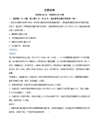 北京市延庆区第一中学2024-2025学年高三上学期10月考试生物试卷（Word版附解析）