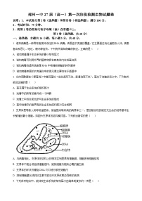 河南省郑州市第一中学2024-2025学年高一上学期第一次月考生物试卷（Word版附答案）