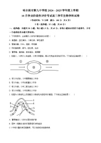 黑龙江省哈尔滨市第九中学2024-2025学年高二上学期10月月考生物试卷（Word版附答案）