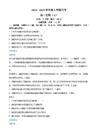 辽宁省辽东南协作体2024-2025学年高一上学期10月月考生物试卷（Word版附解析）