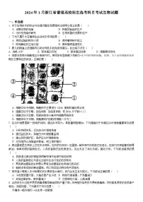 浙江2024年高考生物模拟试卷附答案
