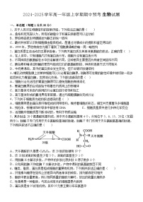 河南省平顶山市叶县高级中学2024-2025学年高一上学期期中生物预考试卷