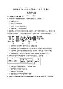 湖北省荆州中学2024-205学年高一上学期10月月考生物试题