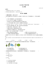 贵州省贵阳市乌当区某校2024-2025学年高一上学期10月月考生物试题