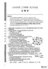 广西壮族自治区百色市名校2024-2025学年高二上学期10月月考生物试题
