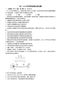 山东省济南市平阴县实验高级中学2024-2025学年高二上学期10月月考生物试题