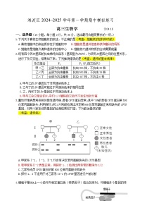 北京市延庆区第一中学2024-2025学年高三上学期期中考试生物试卷