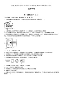 吉林省白城市洮北区白城市第一中学2024-2025学年高一上学期10月期中生物试题