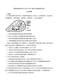 广东省东莞市东莞市海德双语学校2024-2025学年高三上学期10月期中生物试题