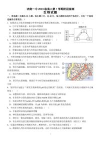 山东省济南市第一中学2024-2025学年高二上学期10月学情检测生物试卷（PDF版附答案）