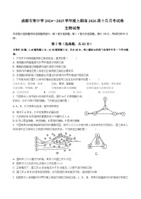 四川省成都市石室中学2024-2025学年高二上学期10月月考生物试卷（Word版附答案）